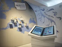 I venti del Mediterraneo